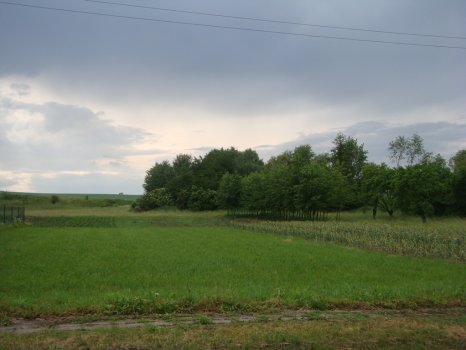 Rohovladova_Bela