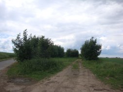 Vraclav_3
